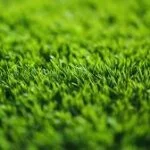 العشب الصناعي